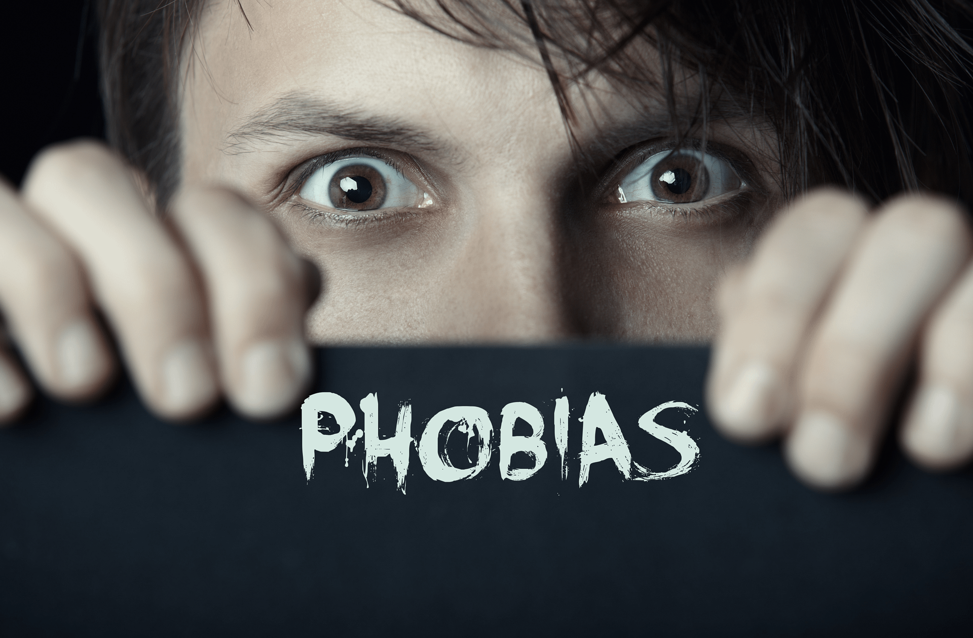 define phobia essay